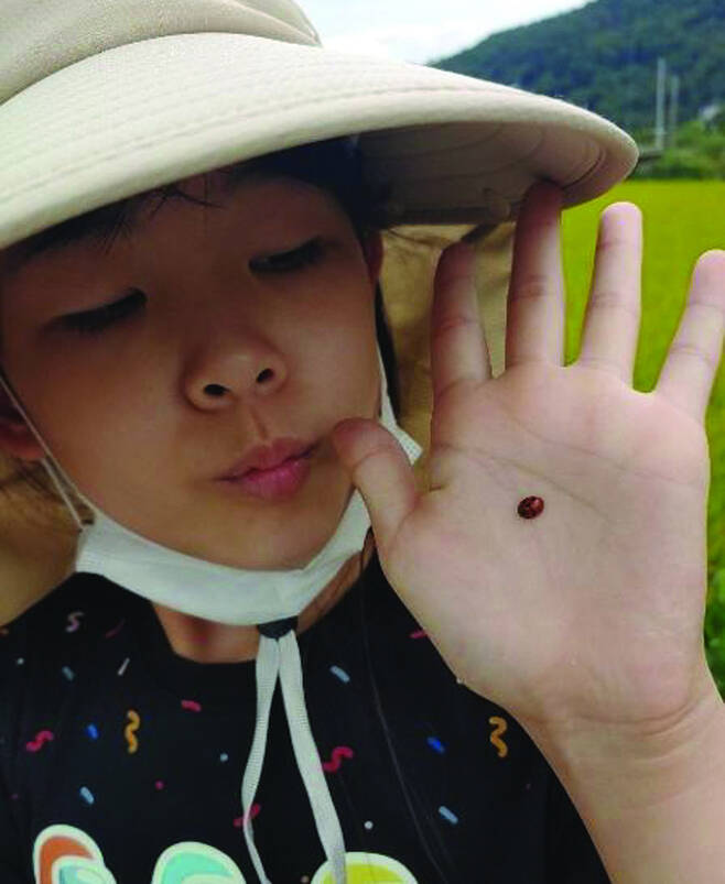 논두렁에서 무당벌레를 관찰하는 유학생. 서울시교육청 제공