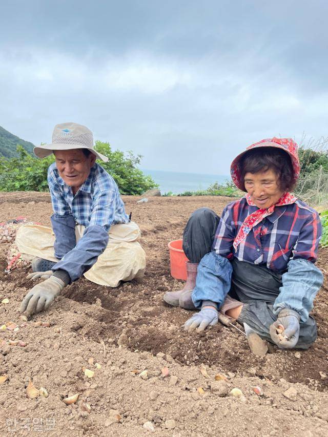 20년 전 정년퇴직 후 가의도로 들어와 마늘 농사를 짓고 있는 주만성(83), 유춘자(82)씨 부부가 서해 바다를 등지고 밭에 앉아 마늘을 심고 있다.