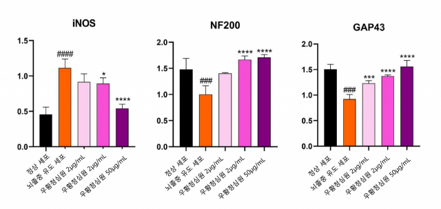 우황청심원은 iNOS의 발현량을 낮춰 신경세포의 산화스트레스를 억제하고 NF200, GAP-43 등 신경재생인자의 활성을 촉진해 뇌졸중 예방에 기여하는 것으로 분석됐다. 사진 제공=자생한방병원