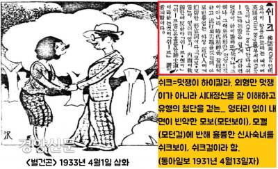 동아일보 1931년 4월13일자 ‘신어해설’란이 “‘쉬-크’는 멋쟁이 하이칼라이며, 외형 만이 아니라 시대정신을 이해하는 빈틈없는 근대인을 가리킨다”고 설명했다. 신문은 “내면이 빈약한 모던보이, 모던걸에 반해 ‘쉬크보이’, ‘쉬크걸’은 훌륭한 신사숙녀”라고 했다. ‘모던’보다 ‘쉬크(시크)’한 신사숙녀를 더 수준높게 보았다.