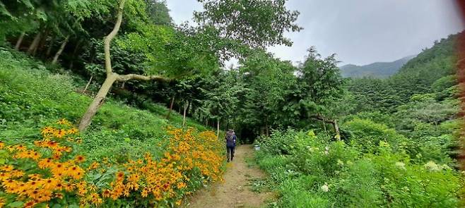 돌탑 가는 길. 강종임 해설사 제공