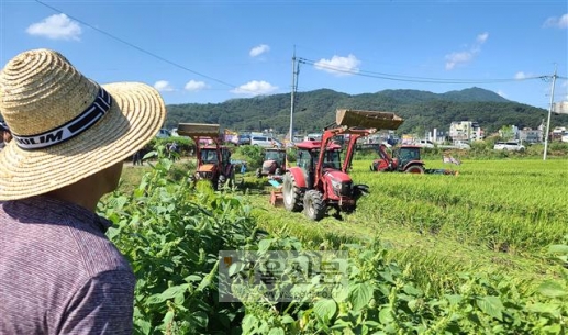 천안농민회와 주민들이 21일 충남 천안시 풍세면 농지에서 쌀값 폭락 대책 마련 등을 위해 벌이는 논갈이 투쟁을 한 농민이 안타깝게 바라보고 있다.