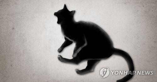 고양이 동물학대(PG) [제작 정연주] 일러스트