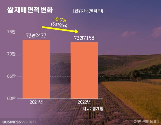 지난해와 올해의 재배면적은 큰 차이가 없었다. / 그래픽=유상연 기자 prtsy201@
