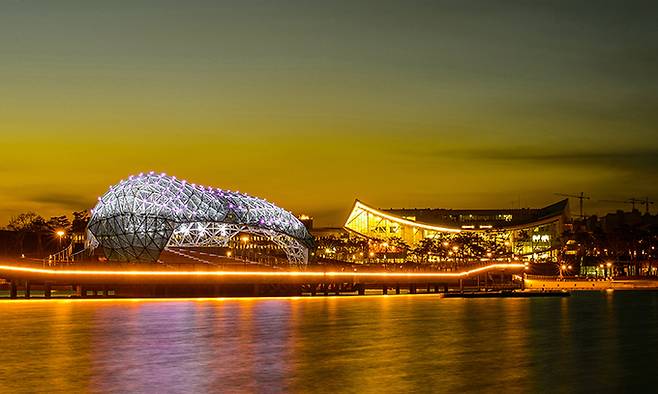 세종호수공원 야경