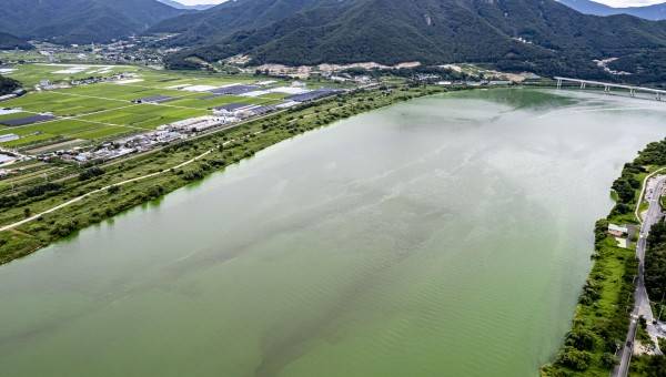 지난달 경상남도 양산시 원동면 일대 낙동강이 녹조로 뒤덮여 있는 모습. 이원준 기자