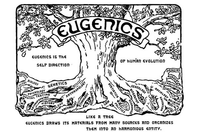 1921년 미국 뉴욕에 열린 제2회 국제 우생학 학술대회의 포스터 그림. “우생학은 인간 진화의 자기 방향이다”라는 표어가 보인다. 위키미디어 코먼스