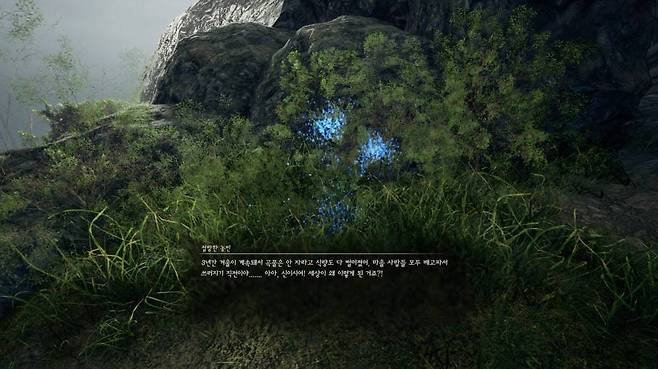 진엔딩과 연결되는 꽃 찾기