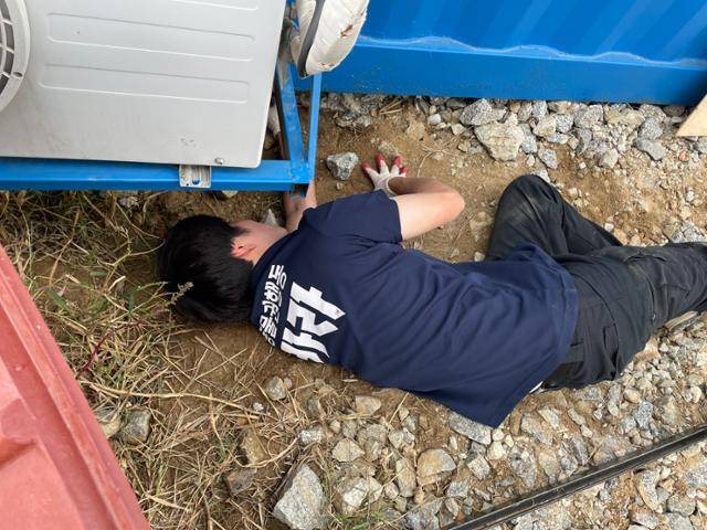 진순이를 돌보던 고아라씨와 카라 활동가들이 컨테이너 밑에서 진순이가 낳은 새끼를 구조하고 있다. 카라 제공