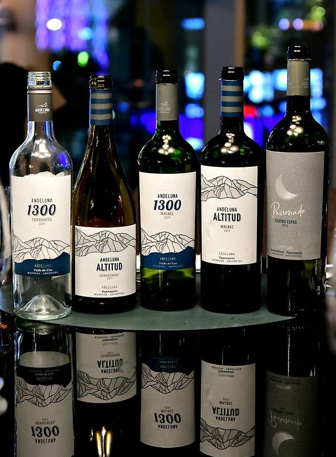 안델루나 와인들.