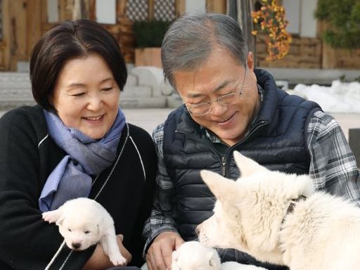 지난 2018년 11월 25일 문재인 대통령과 김정숙 여사가 관저 앞 마당에서 풍산개 ‘곰이’의 새끼들을 살펴보고 있다. /청와대
