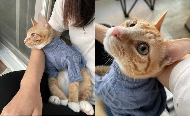 파란색 니트가 찰떡!