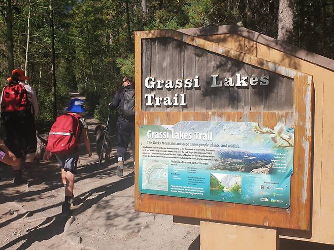 어린 자녀와 반려견을 동반한 등산객들을 쉽게 찾아볼 수 있다