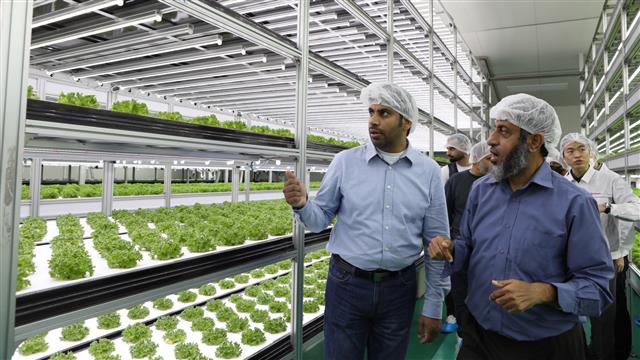오만 농수산부 관계자들이 농심 안양공장 내 양산형 모델 스마트팜을 둘러보고 있다.농심 제공