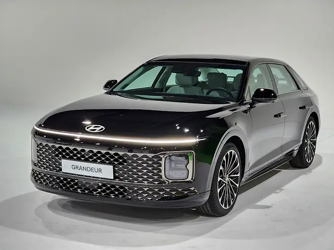 어비스 블랙 펄 - 실물