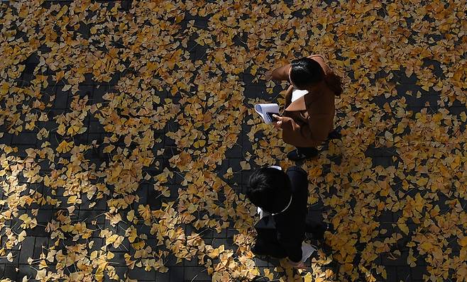 지난 23일 경남 거창군 거창읍 상림리의 거리에서 시민들이 은행나무 잎을 밟으며 지나가고 있다. 연합뉴스.