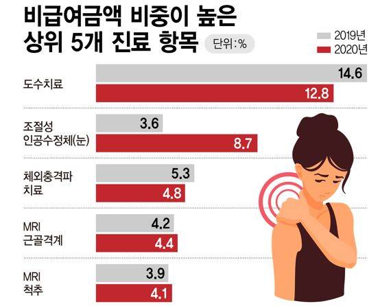 비급여금액 비중 높은 상위 5개 진료 항목 /그래픽=정기현 기자