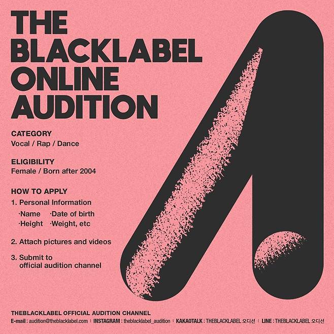 ▲ 온라인 오디션 포스터. 제공| 더블랙레이블
