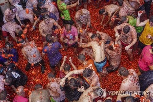 발렌시아에서 열린 토마토 축제 연합뉴스 자료사진 [재배포 및 DB금지]