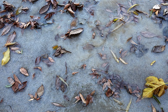 지난달 30일 서울 여의도한강공원에 얼음이 얼어있다. 사진=뉴시스