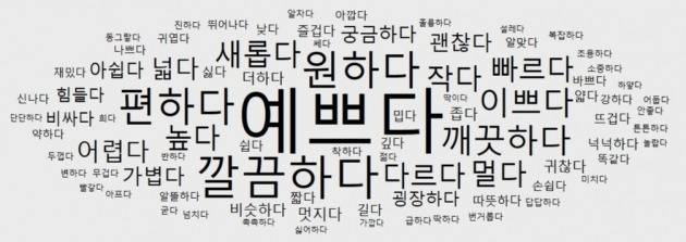비스포크 관련 네이버 블로그 글 5595개에서 추출한 형용사(2021년 1월 - 2022년 11월)