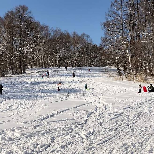 일본 나가노시는 경영난에 빠진 스키장 운영을 중단하고 무료 눈썰매장을 만들었다. 사진은 지난해 아이들이 눈썰매를 타고 있는 모습./나가노 관광협회 트위터