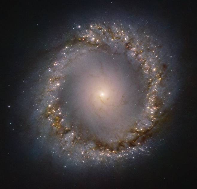 NGC 1097 은하. 출처=유럽 남부 천문대(ESO)