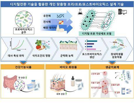 디지털 트윈 가상세포 모델과 다중오믹스 데이터를 통합 분석해 식이조건에 따른 대사 특성, 군락화 능력, 포스트바이오틱스 생산 및 장내미생물 상호작용을 예측한다. 사진 성균관대 *재판매 및 DB 금지