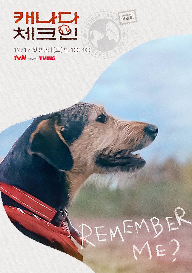 ‘캐나다 체크인’ 공식 포스터가 공개됐다.사진=tvN 제공