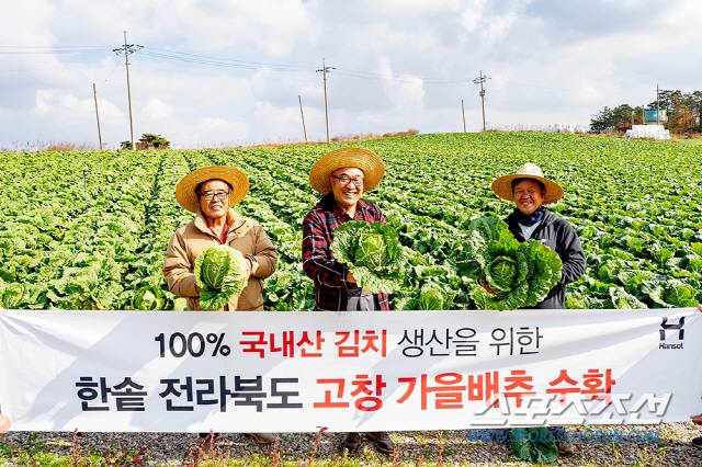 고창 배추로 한솥의 김치는 완성된다.