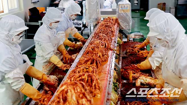 국내산 고춧가루, 소금, 마늘, 생강, 젓갈 등이 한솥과 경남식품이 연구한 레시피에 따라 버무려지는 과정.