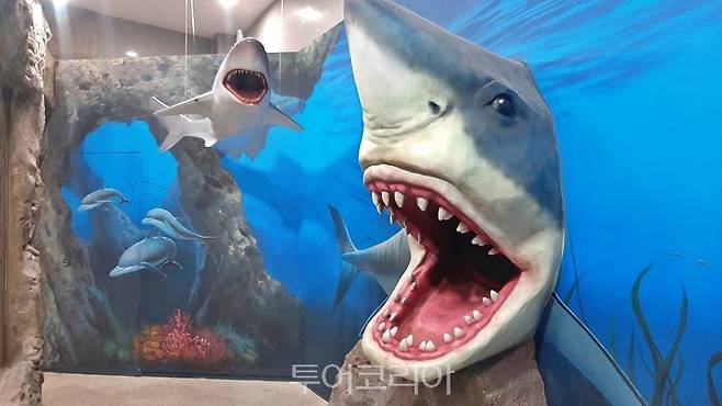 땅끝해양자연사박물관