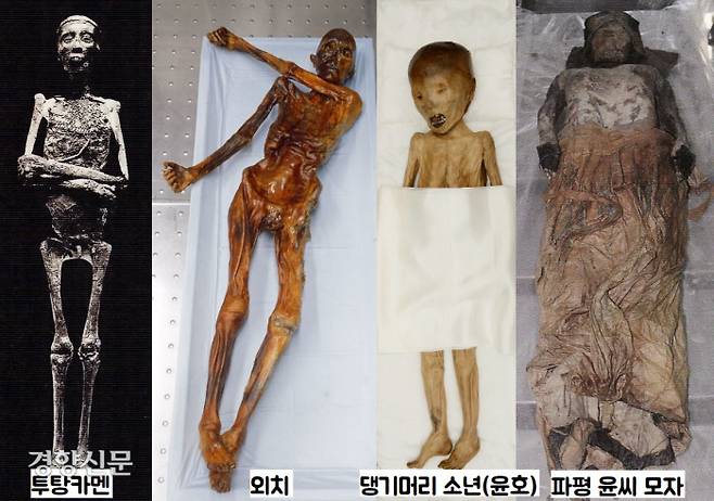 세계적으로 유명한 미라는 이집트 투탕카멘과 알프스 얼음인간 ‘외치’지만 한국 미라의 학술적인 가치도 엄청나다. 특히 한국 미라들은 시신훼손을 불효로 낙인찍는 유교의 전통 사회에서 기적적으로 살아남았다.|단국대 석주선박물관·고려대박물관 제공