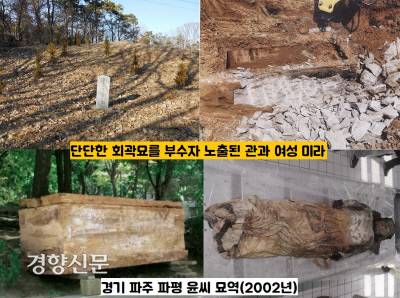 2002년 9월 경기 파주 교하의 파평 윤씨 묘역 중 무연고 묘에서 여성 미라가 확인됐다.|고려대박물관 제공