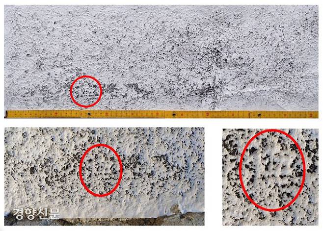 이번에 읽은 ‘전(典)’자의 확대모습. 연구자들 대부분은 ‘전’자라고 100% 단정할 수는 없지만 글자는 틀림없다고 밝힌다.|박홍국 교수 제공