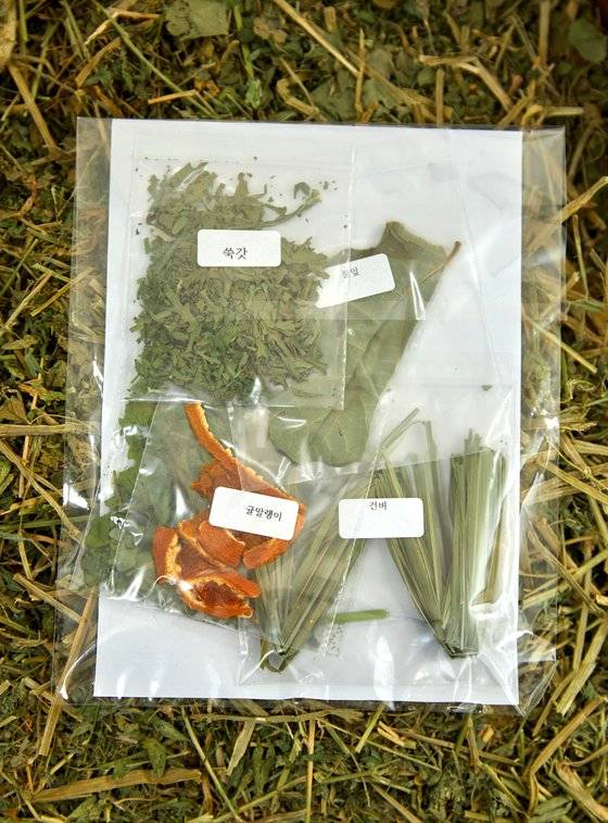 토끼는 깨끗한 건초를 먹어야 치아를 비롯해 건강에 이상이 생기지 않는다.