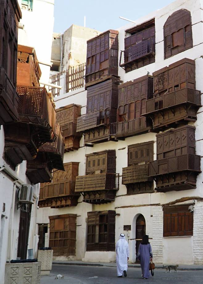 알발라드 마을 여행자와 길냥이