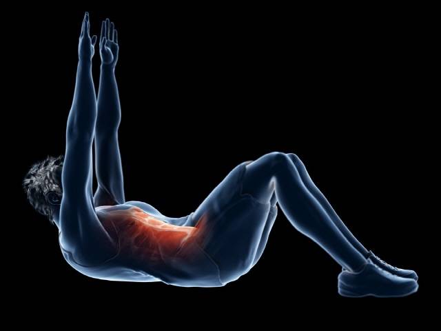 남성은 장내 미생물이 근육량에 영향을 미칠 수 있다는 연구 결과가 나왔다./사진=클립아트코리아
