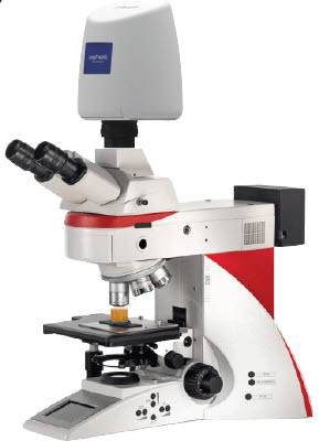 2D 현미경에 와이즈토포를 적용한 모습