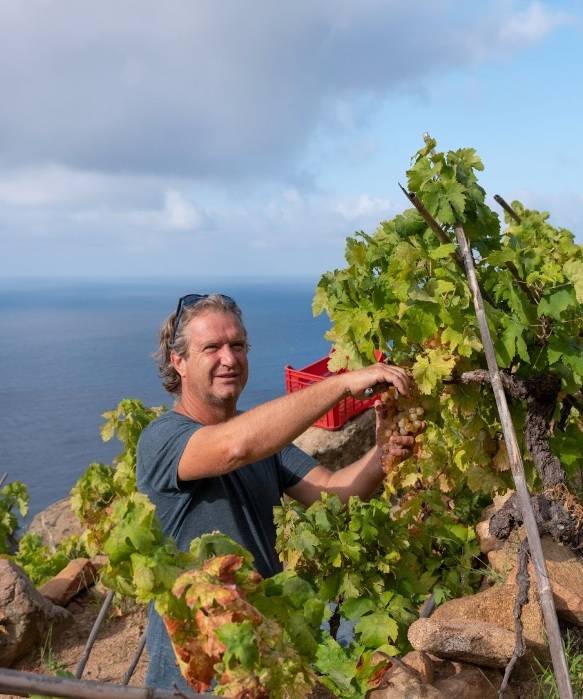 질리오섬에서 포도 수확하는 비비 그라츠