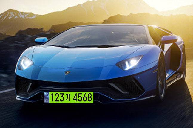 법인차 전용 ‘연두색 번호판’ 예상 이미지