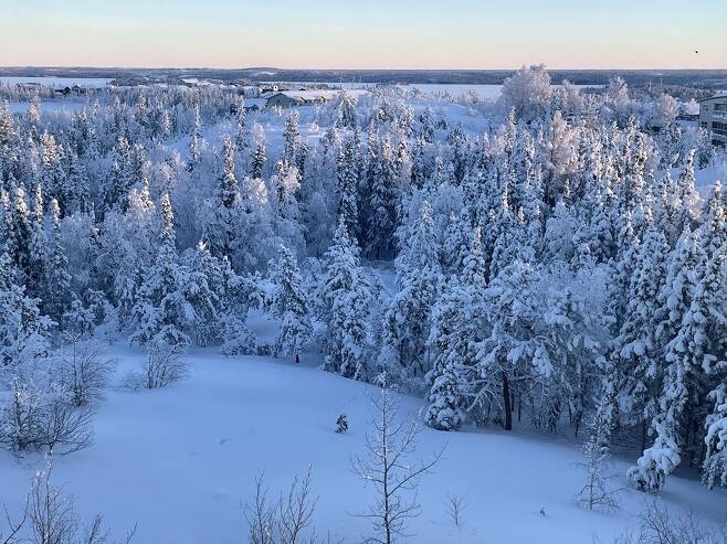 옐로나이프의 아침 풍경. 이유진 기자