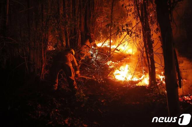 4일(현지시간) 칠레 아라우까니아 푸렌에서 소방관들이 산불을 진화하고 있다. ⓒ AFP=뉴스1 ⓒ News1 권진영 기자