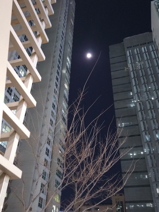 야간 촬영 모습. 김나인 기자