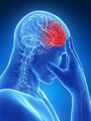 클립아트코리아 제공