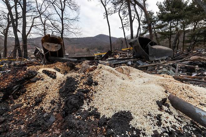불탄 잿더미 속에 타다 만 쌀이 흩어져 있다.