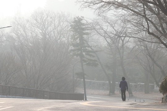 수도권 고농도 초미세먼지 비상저감조치가 시행된 지난 6일 오전 서울 용산구 남산에서 한 시민이 산책을 하고있다. 사진=뉴시스