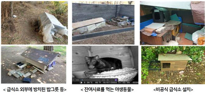 서울시 동물보호과는 2015년부터 시내 공원에 직영 급식소를 설치해 운영하고 있다. 그러나 일부 급식소는 지침과 달리 운영돼 문제가 발생하고 있다. 서울시 제공