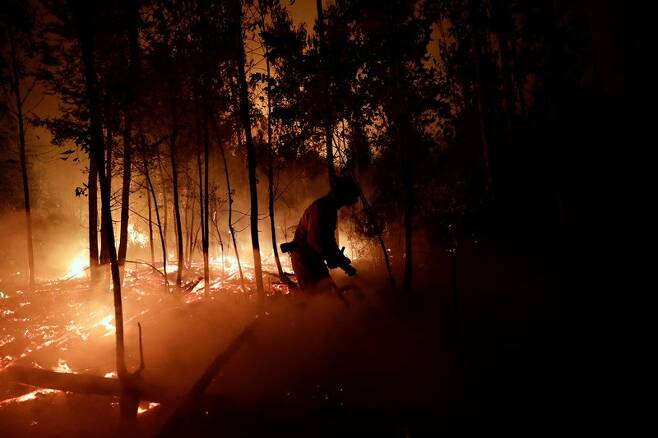 지난 7일 칠레 콘셉시온 인근 라파엘에서 한 소방관이 산불을 진화하고 있다. 로이터 연합뉴스