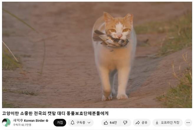 유튜버 ‘새덕후’는 지난달 28일 새를 사냥하는 고양이와 고양이 돌봄 방식에 대한 문제제기를 담은 영상을 공개했다. 유튜브 갈무리